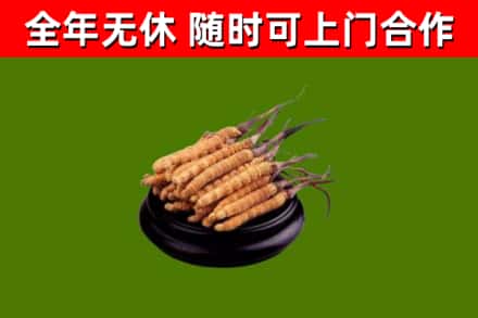 谷城县烟酒回收冬虫夏草.jpg